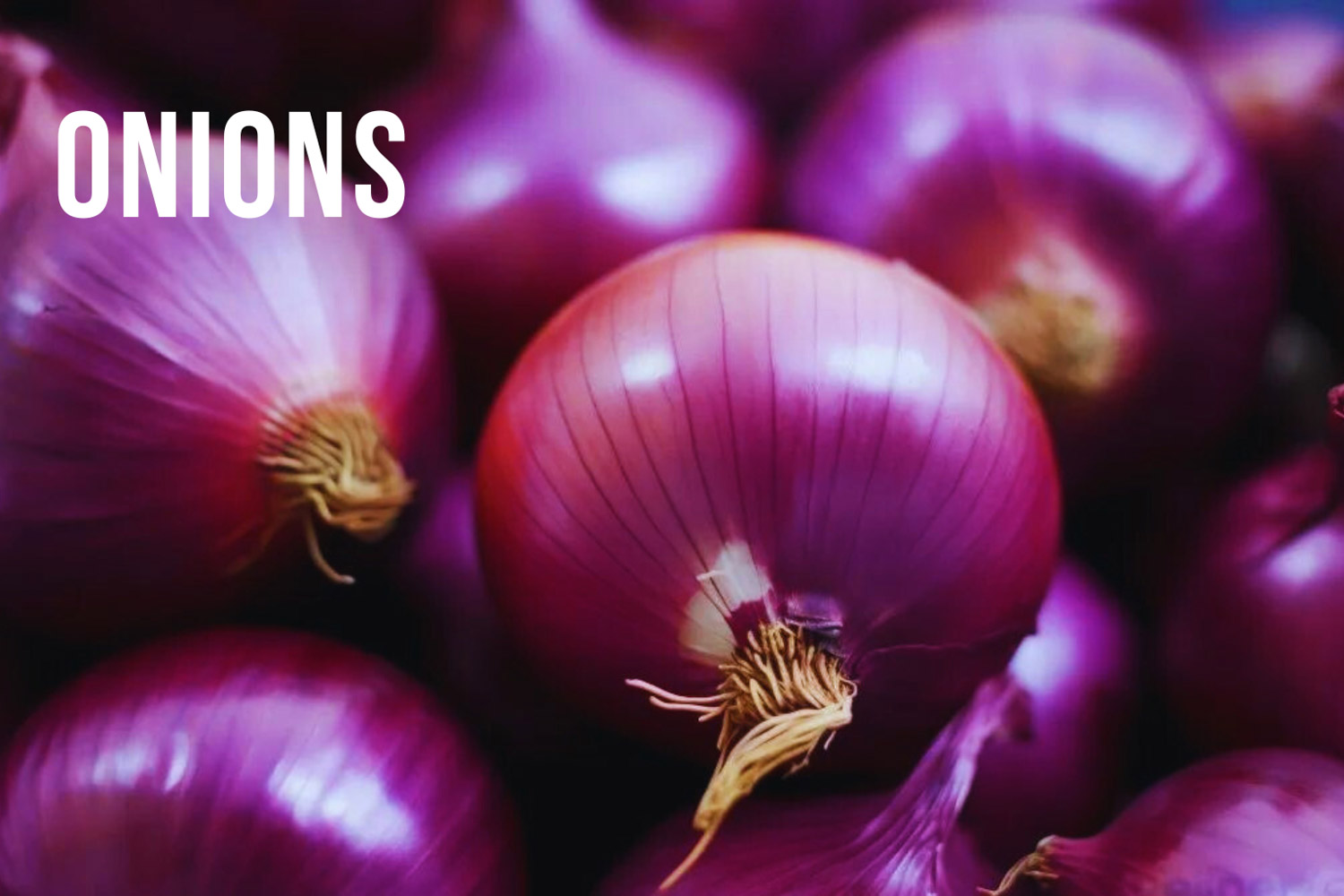 ONIONS